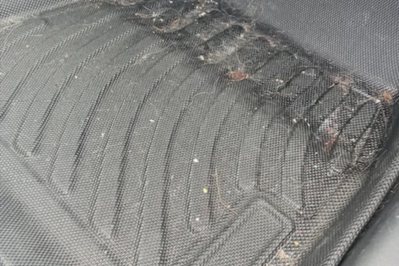 Vehicle before detailing — Grove City, Ohio
