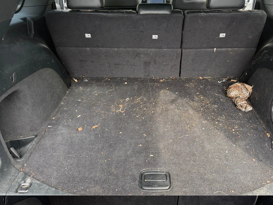 SUV cargo area before detailing, covered in leaves and debris — Dublin, Ohio